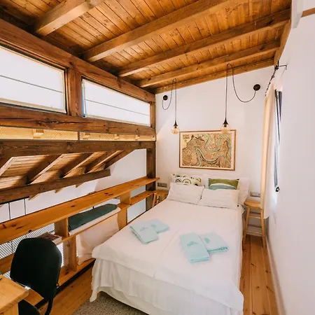 Luxury Apartment