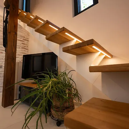 Luxury Apartment